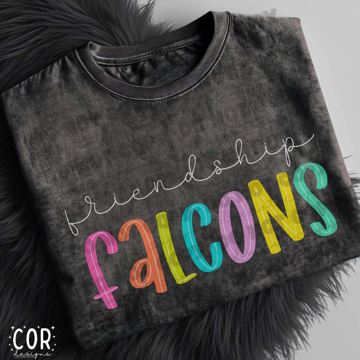 Friendship Falcons