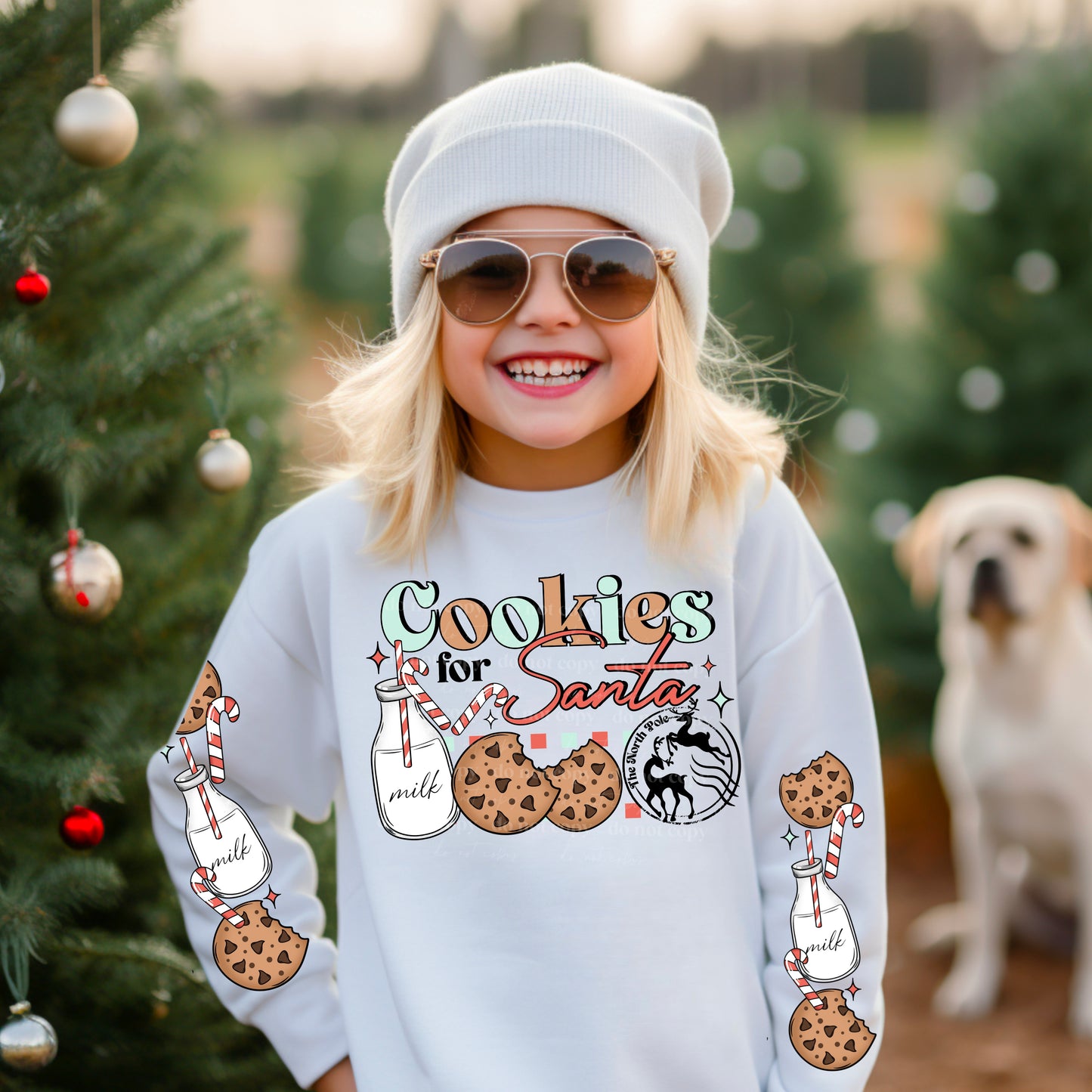 Cookies For Santa (Front)