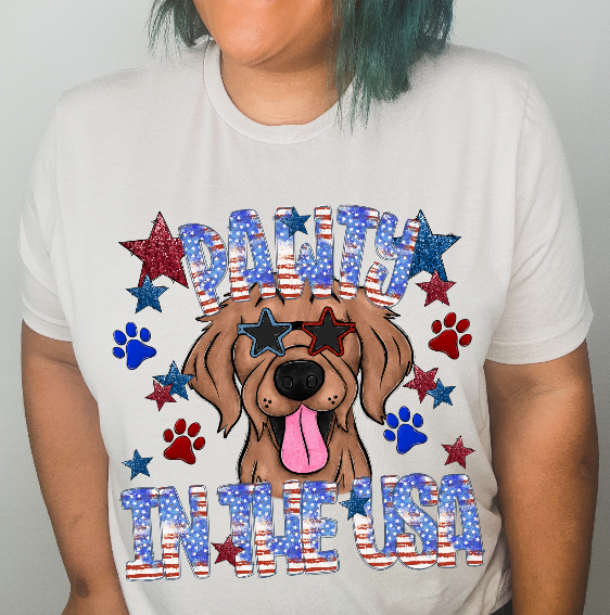 Pawty in the USA (Golden Retriever)