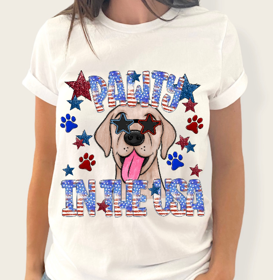 Pawty in the USA (Labrador)