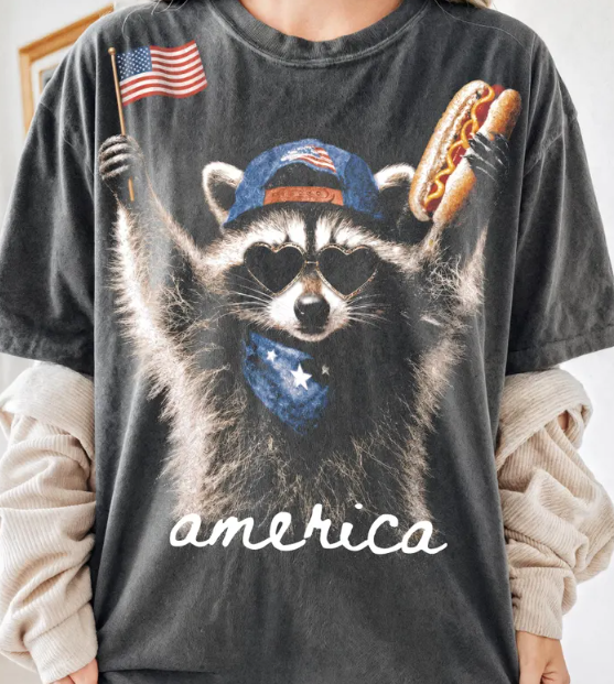 America Racoon HALFTONE