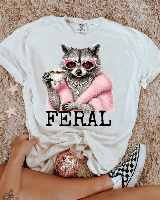 Feral Racoon