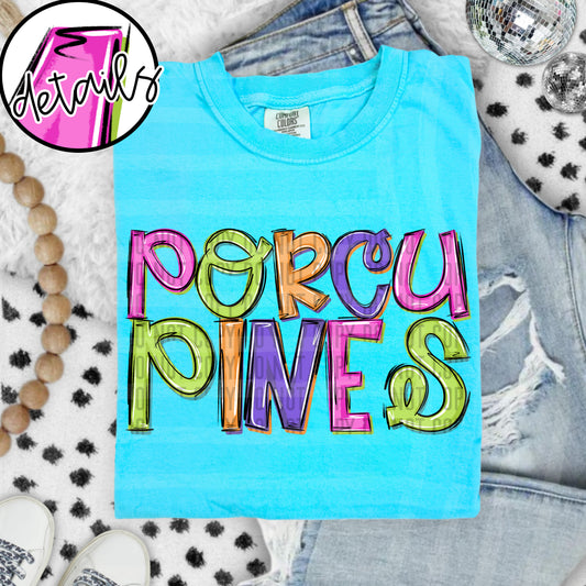 DOODLE COLORFUL PORCUPINES