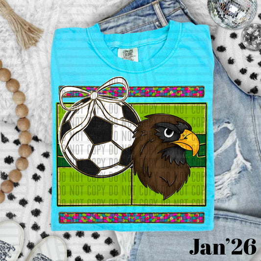 SOCCER HAWKS