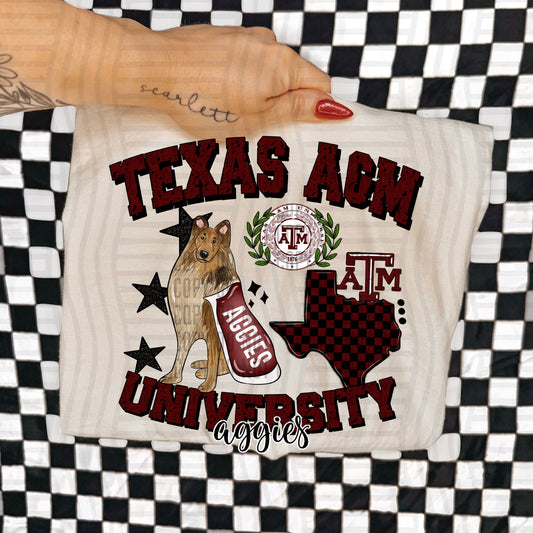 AGGIES