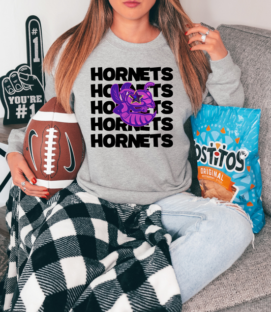 Hornets with purple hornet and black letters