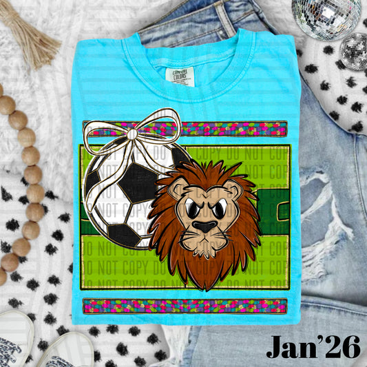 SOCCER LIONS