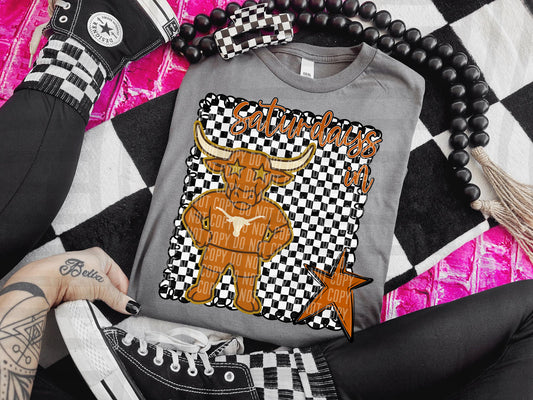 Saturdays in Longhorns