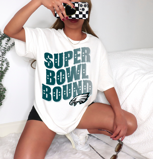Philadelphia Eagles Super Bowl Bound
