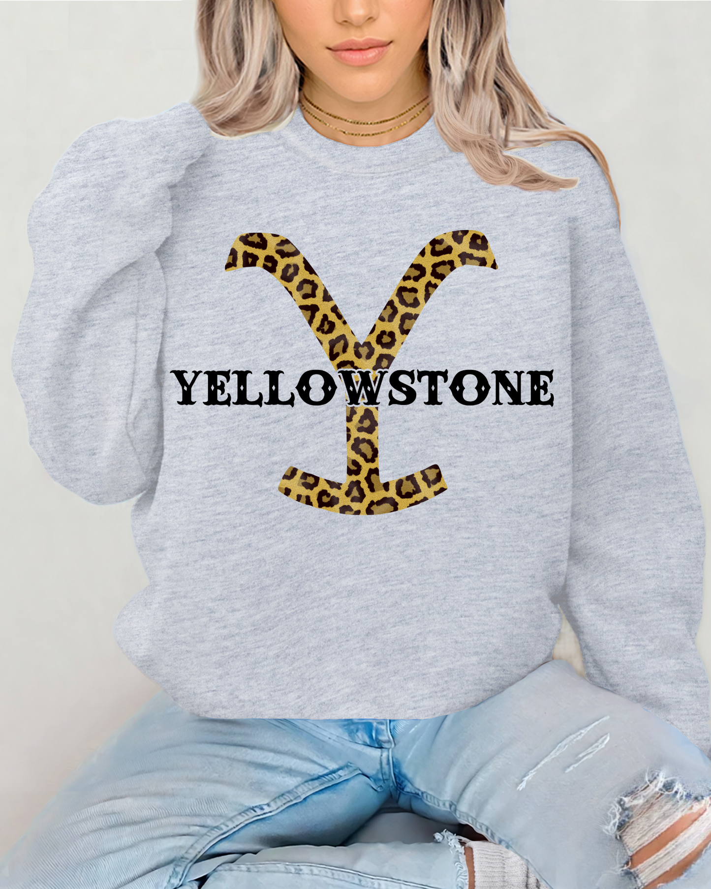 Yellowstone Cheetah