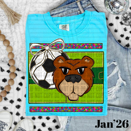 SOCCER BEARS