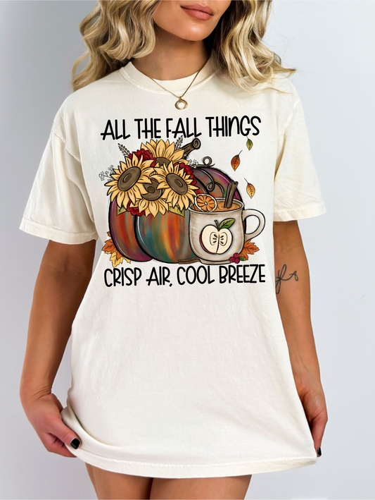 All the fall things crisp air cool breeze