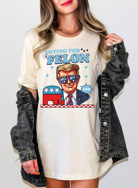 Voting for a Felon