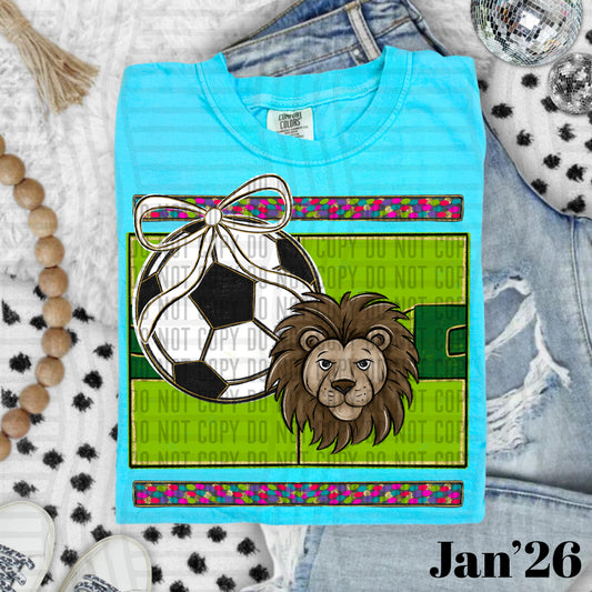SOCCER LIONS