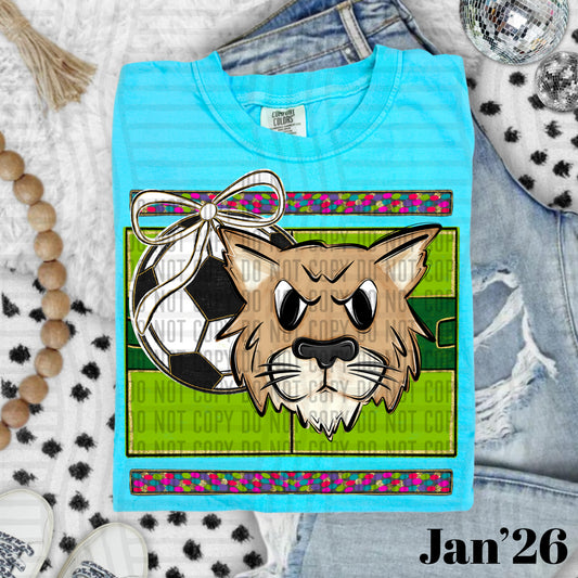 SOCCER WILDCATS