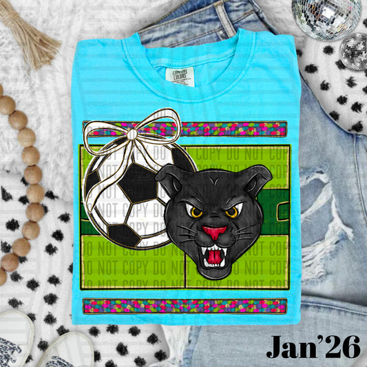 SOCCER PANTHERS