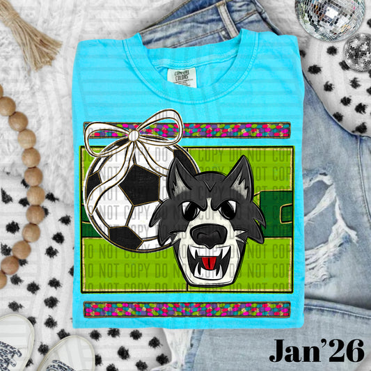 SOCCER WOLVES