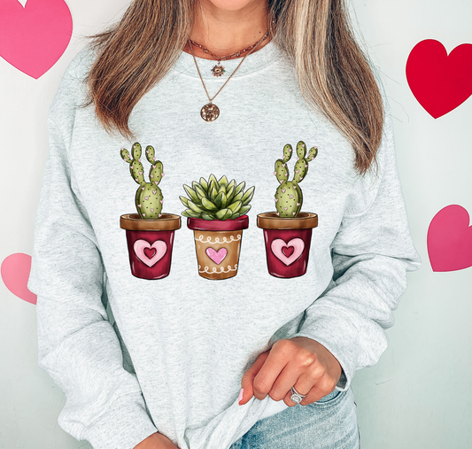 Cactus Plants With Heart Pots