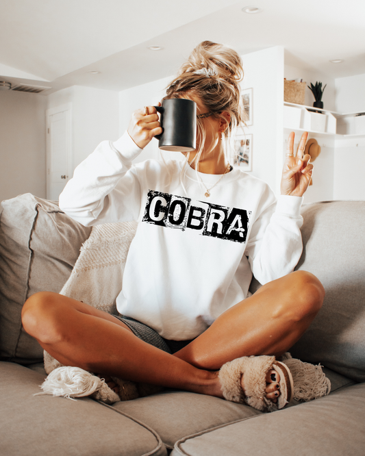 Cobra Black And White Spray Paint Letters