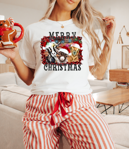 Merry Christmas Goats