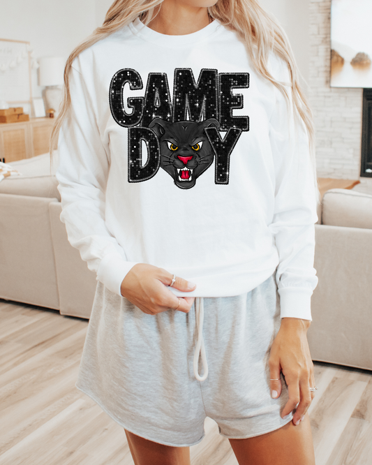 Game Day Panthers