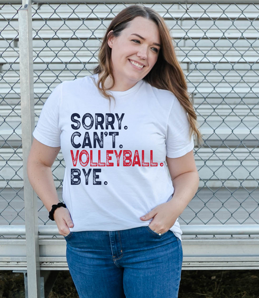 Sorry. Can't. Volleyball. Bye.