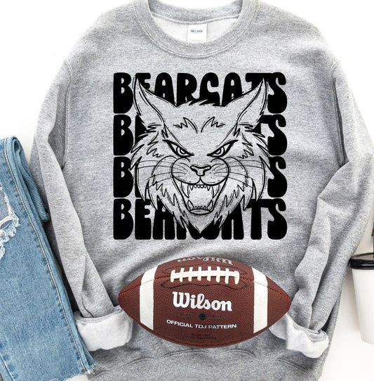 Bearcats mascot