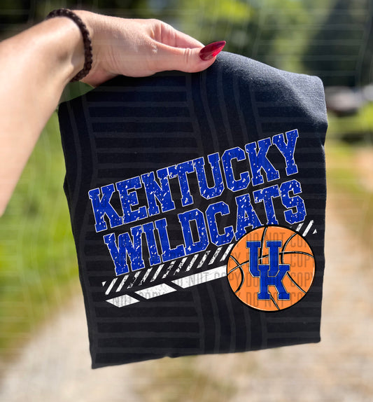 KENTUCKY WILDCATS BASKETBALL