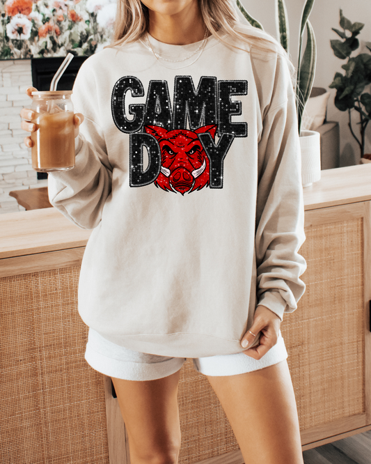 Game Day Arkansas