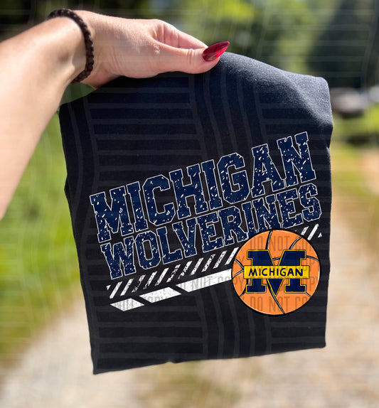 MICHIGAN WOLVERINES BASKETBALL