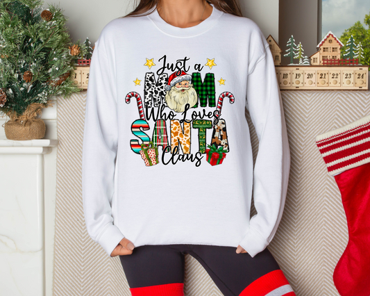 mom who loves Santa Claus