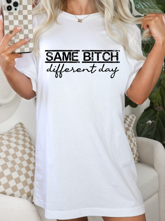 Same Bitch Different Day