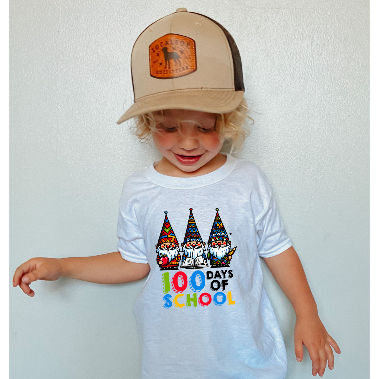 100 Days Gnomes- DTF TRANSFER