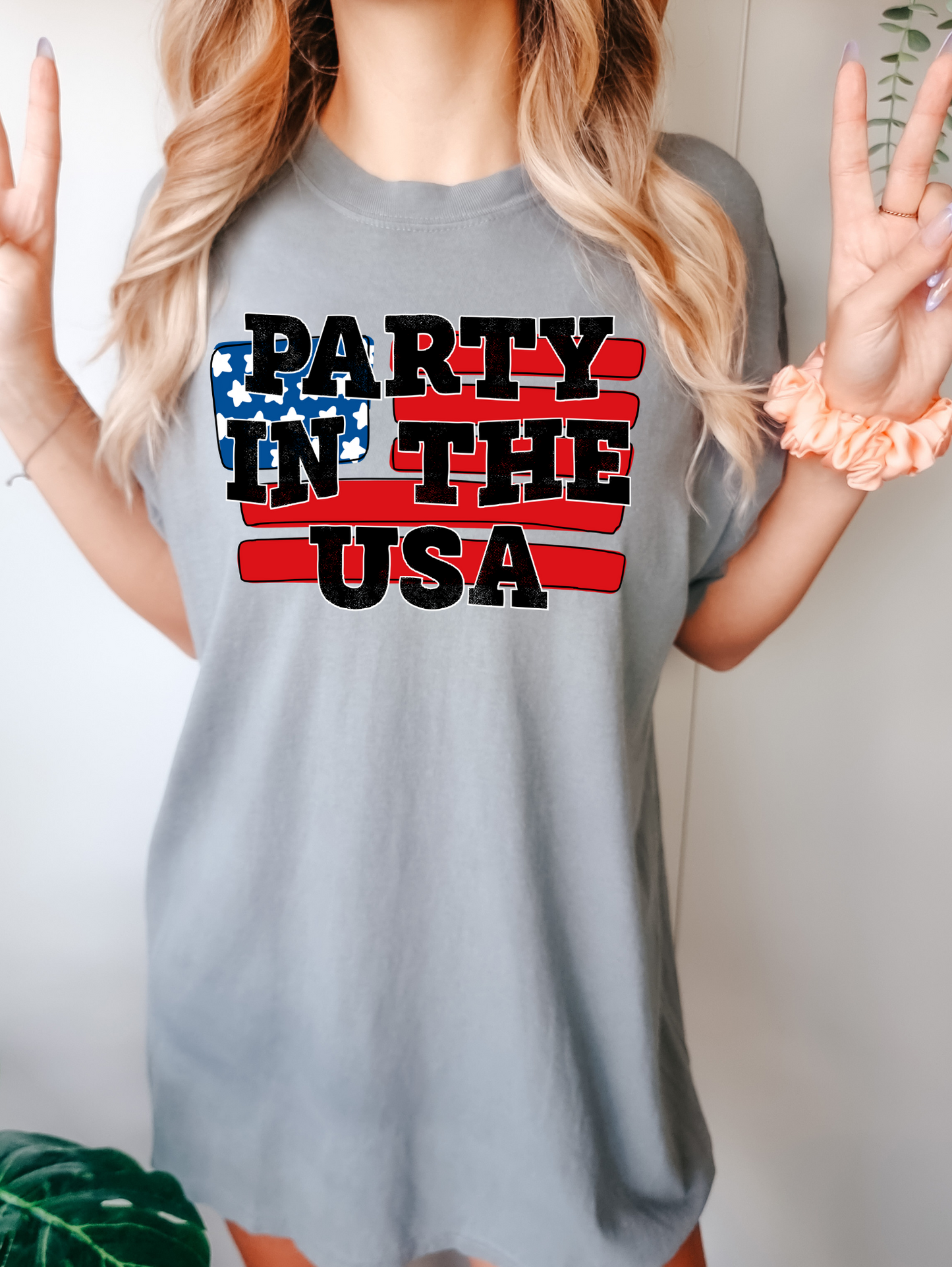 Party In The USA Flag