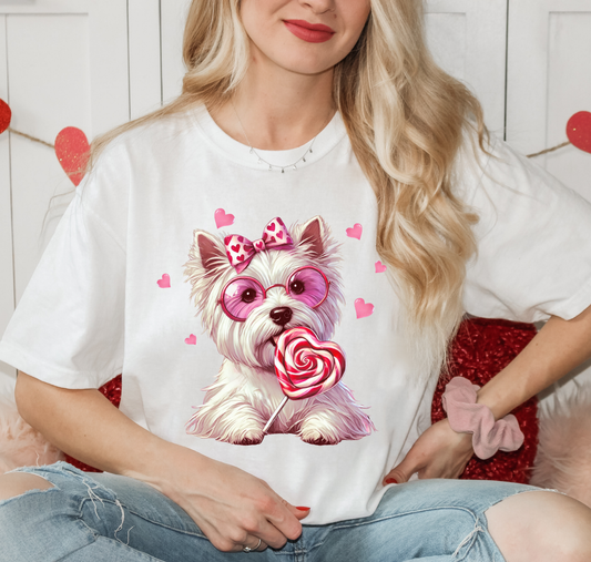 Dog With Glasses And Sucker