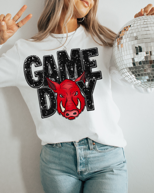 Game Day Arkansas