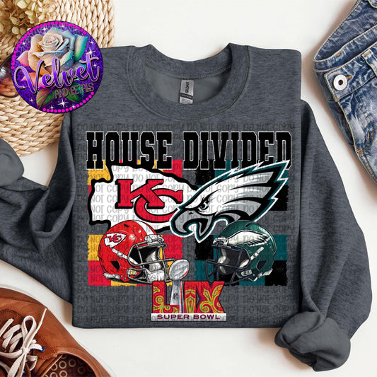 Super Bowl LIX House Divided