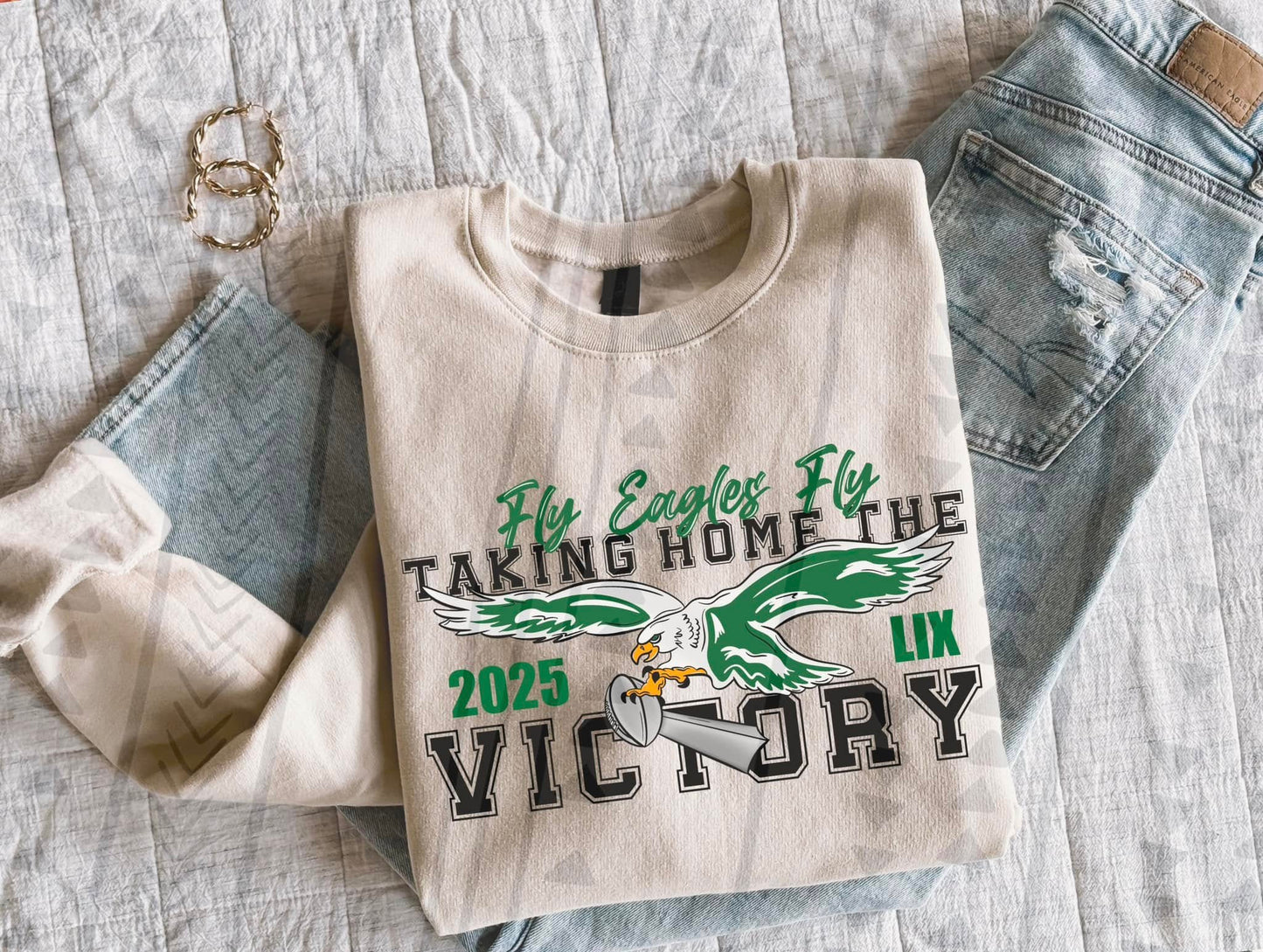 Fly Eagles Flys