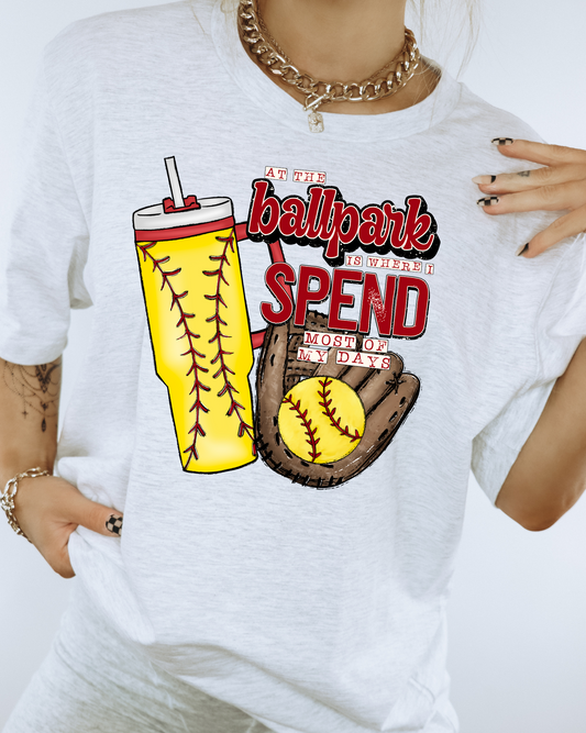 At The Ballpark Softball/Stanley