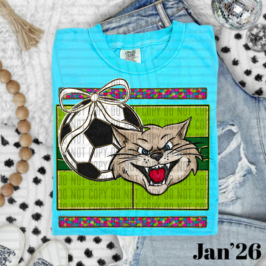 SOCCER WILDCATS