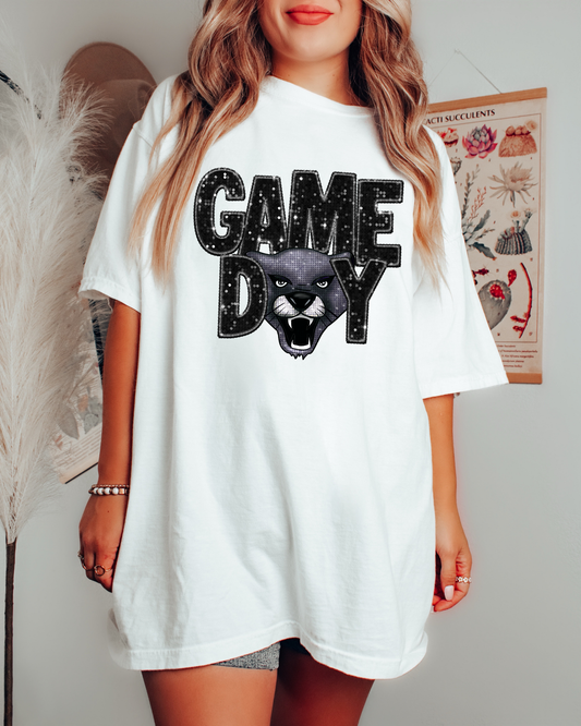 Game Day Panthers