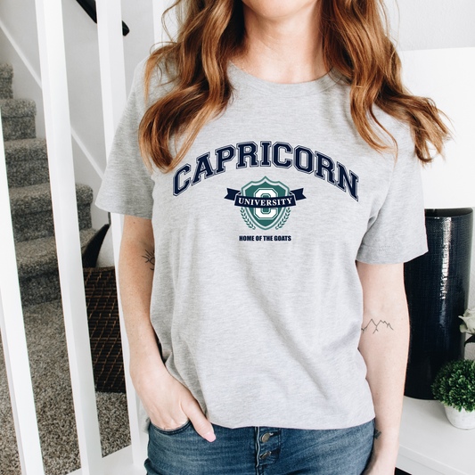 Capricorn University