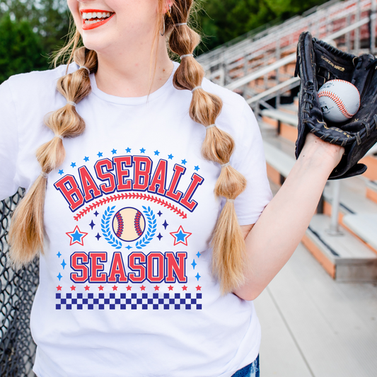 Baseball season - blue checkered