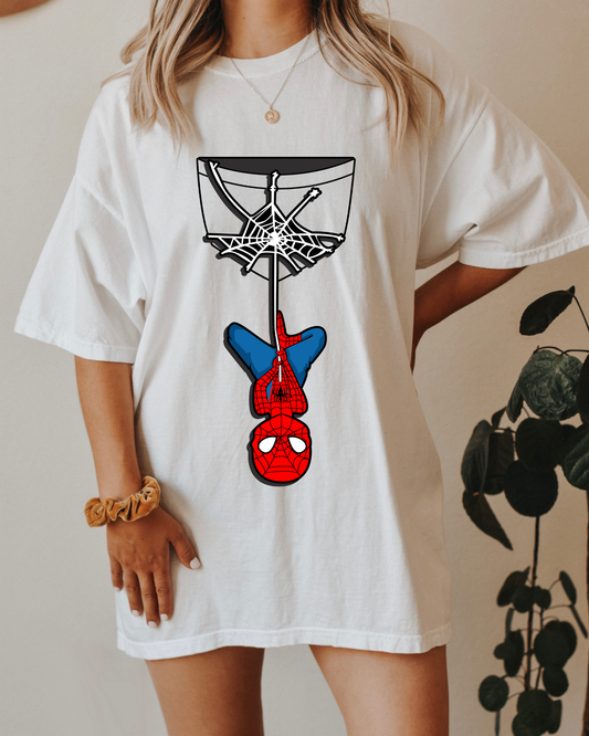 Spiderman Hanging From Web