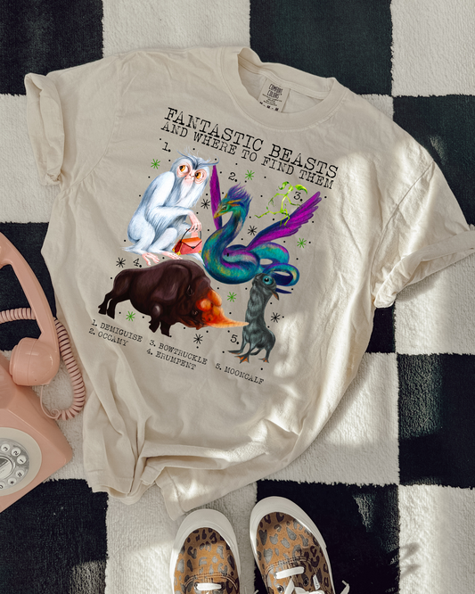 Fantastic Beasts And Where To Find Them