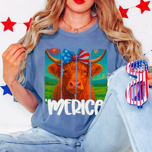 'Merica Highland Cow