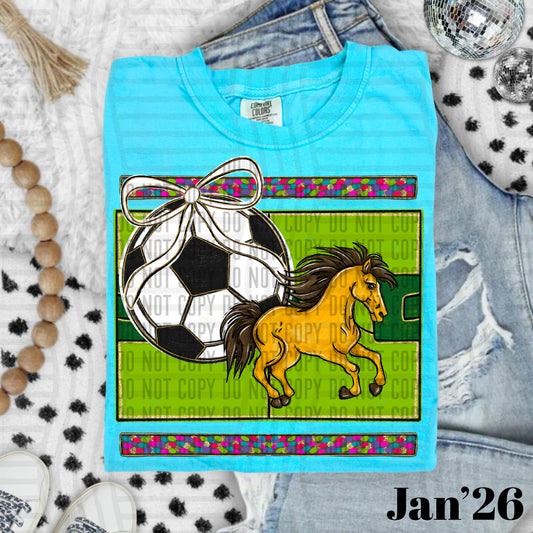 SOCCER COLTS