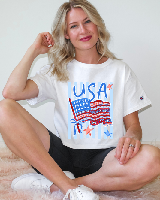 USA Flag Stripes