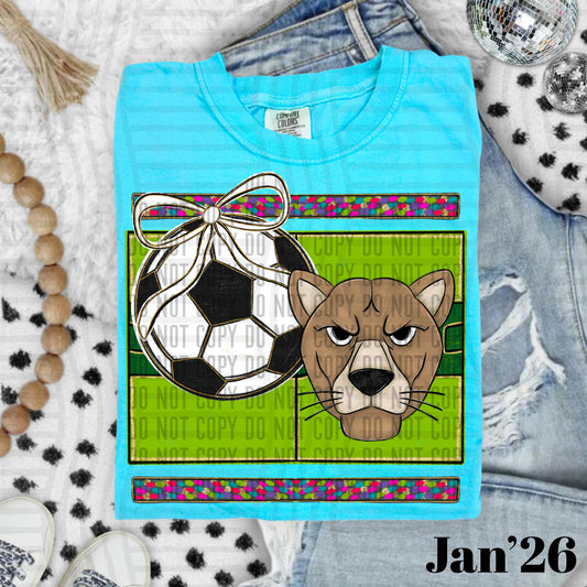 SOCCER COUGARS