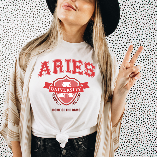 Aries University